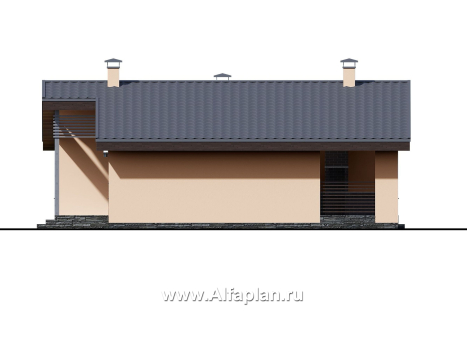 «Дельта» - проект одноэтажного дома с террасой, в скандинавском стиле - превью фасада дома