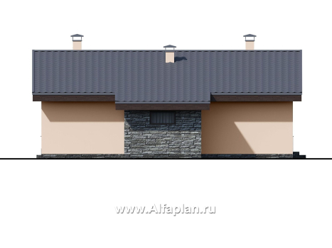 «Дельта» - проект одноэтажного дома с террасой, в скандинавском стиле - превью фасада дома