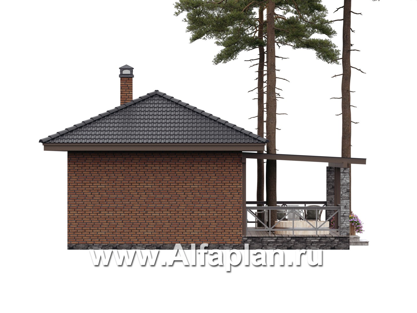 Проект бани, каркасный дом, с большой террасой  - дизайн дома №5