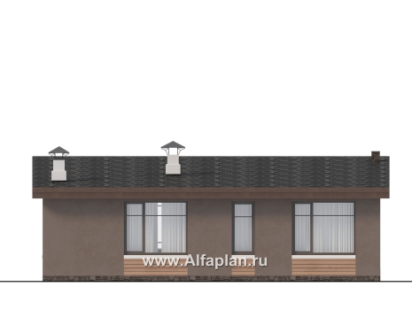 Проекты домов Альфаплан - "Талисман" - проект одноэтажного дома с односкатной кровлей - превью фасада №4