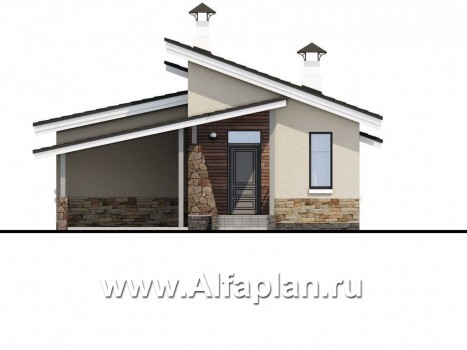 Проекты домов Альфаплан - «Дриада» - одноэтажный дом с гаражом-навесом - превью фасада №1